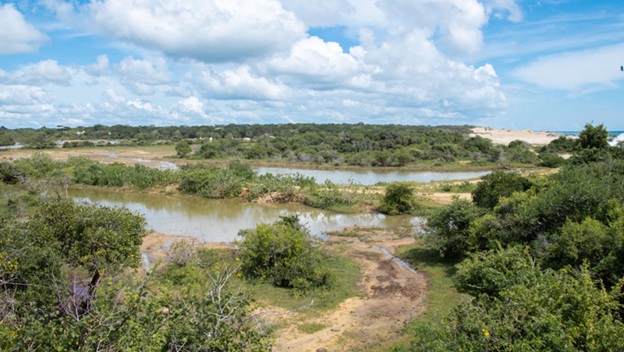 https://thalgaha.com/blog/img3/one_view_at_yala_national_park.jpg