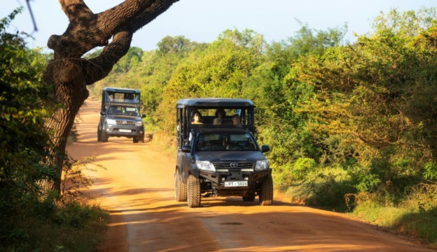 https://thalgaha.com/blog/img4/safari_jeeps_at_yala_national_park.jpg