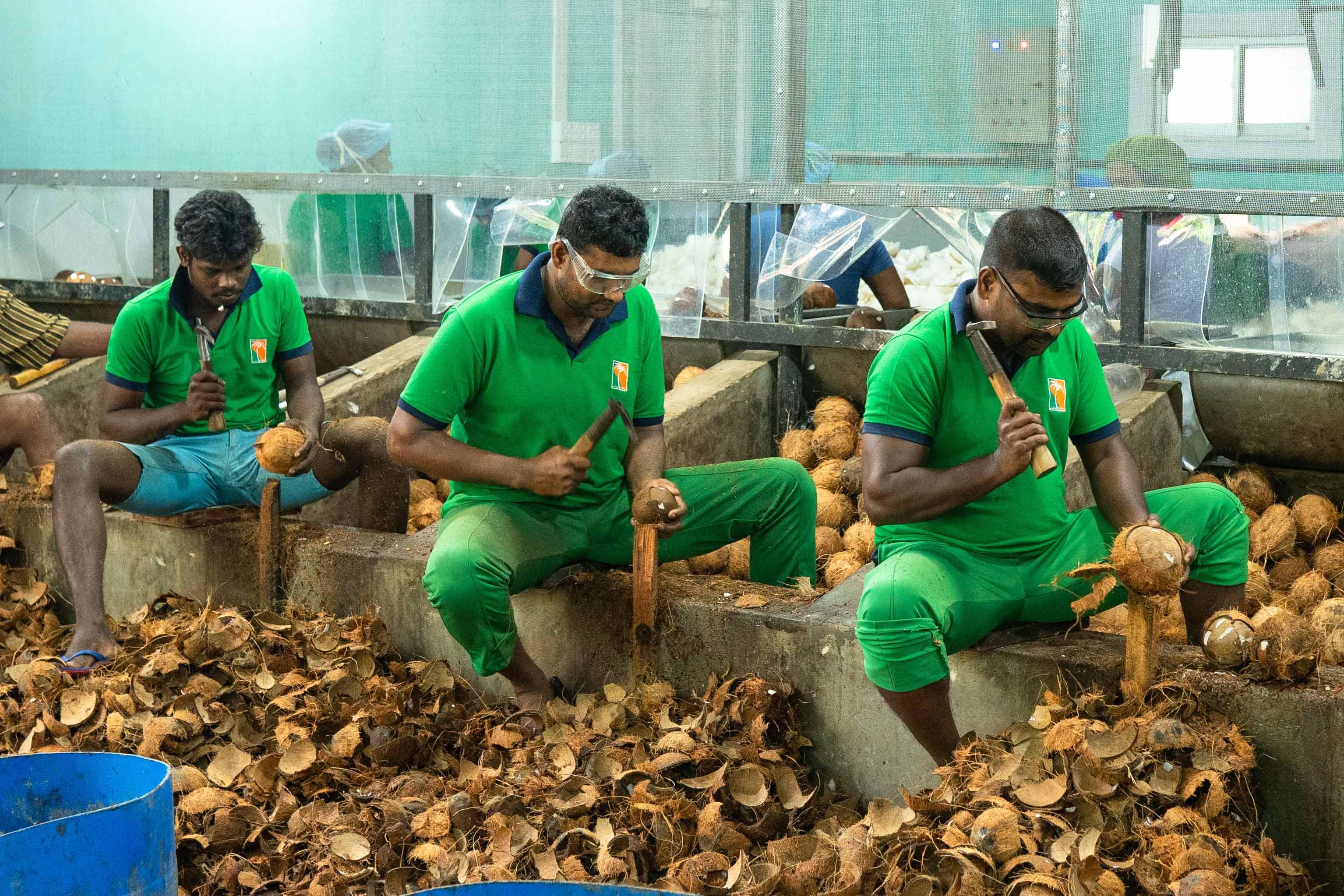 Coconut Industry in Kurunegala