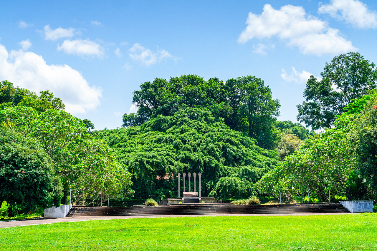 Horagolla National Park Image