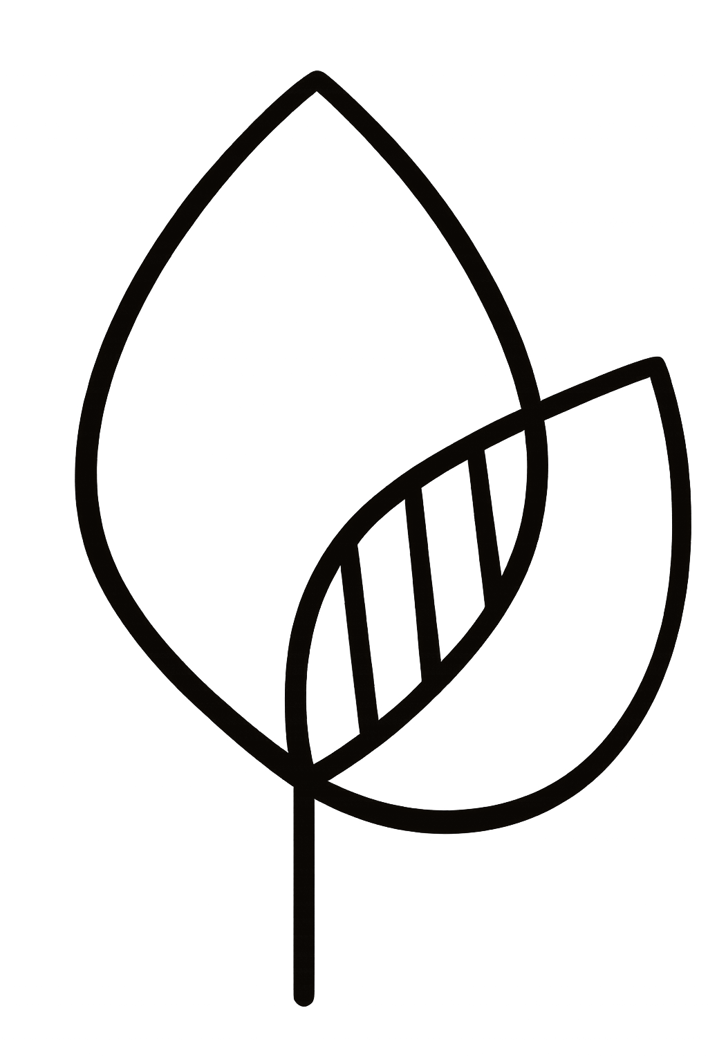 thalgaha.com logo