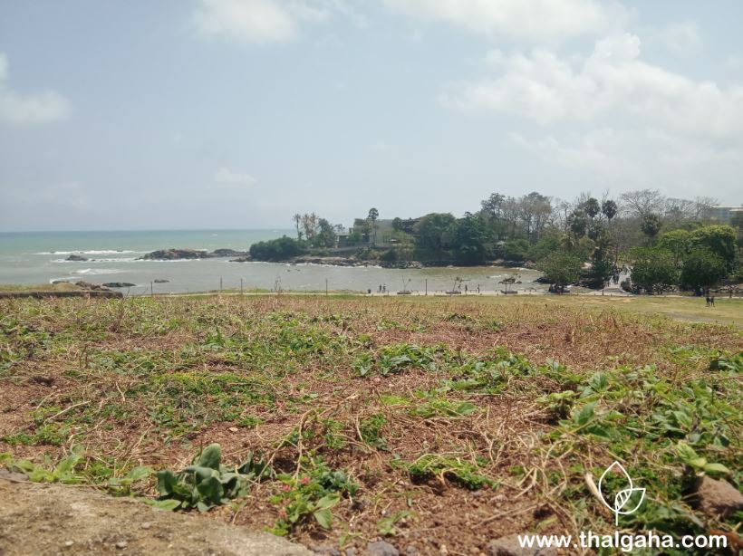 Galle Fort Image